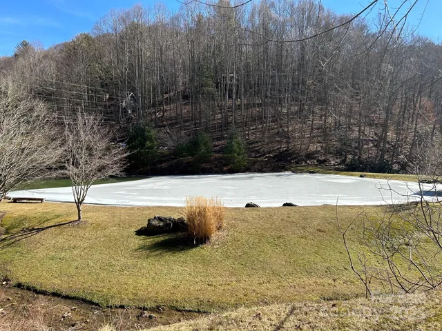 a view of swimming pool with a yard