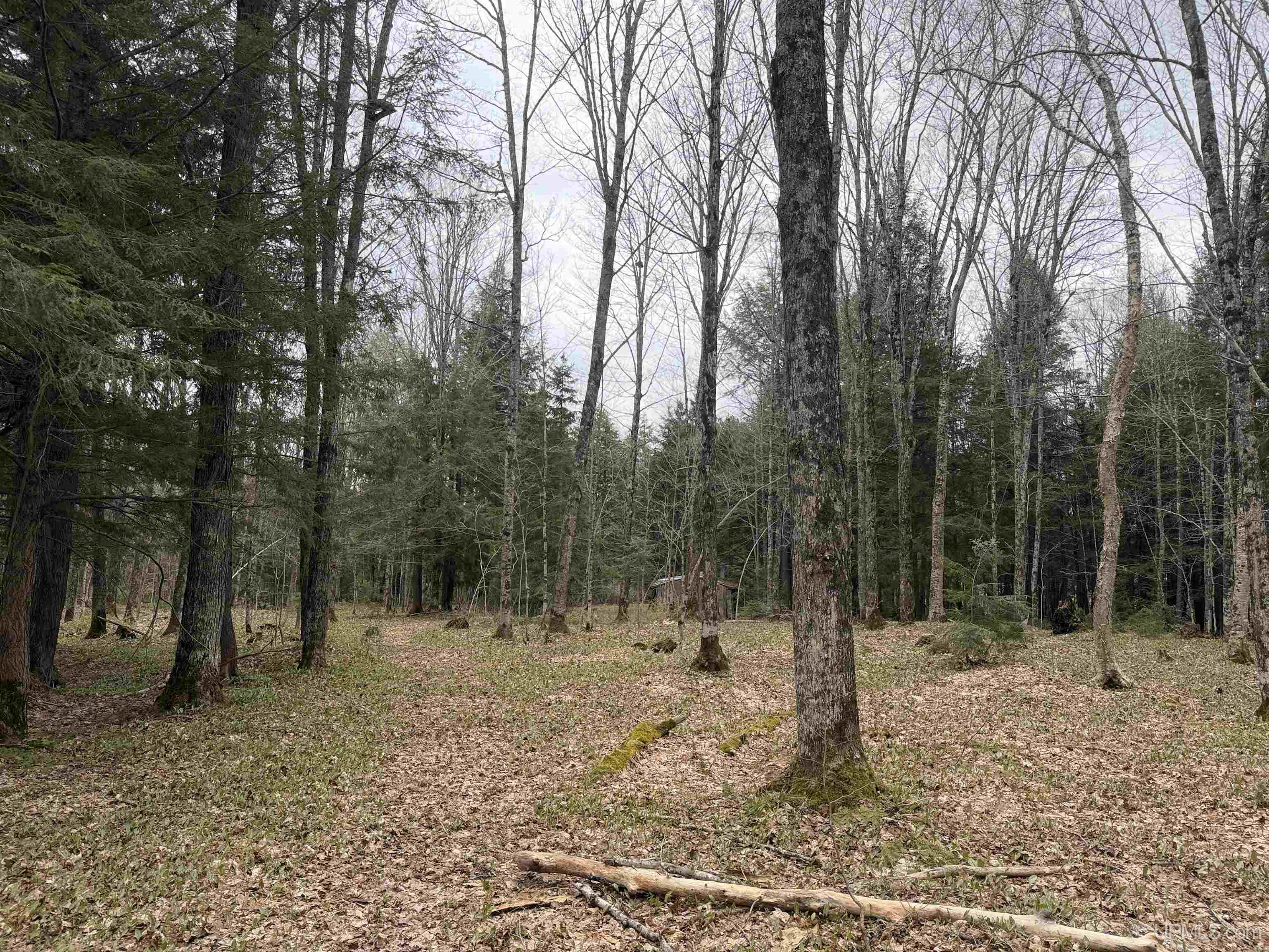 Tbd Lake Road Ironwood, MI 49938 - Photo 15 of 31
