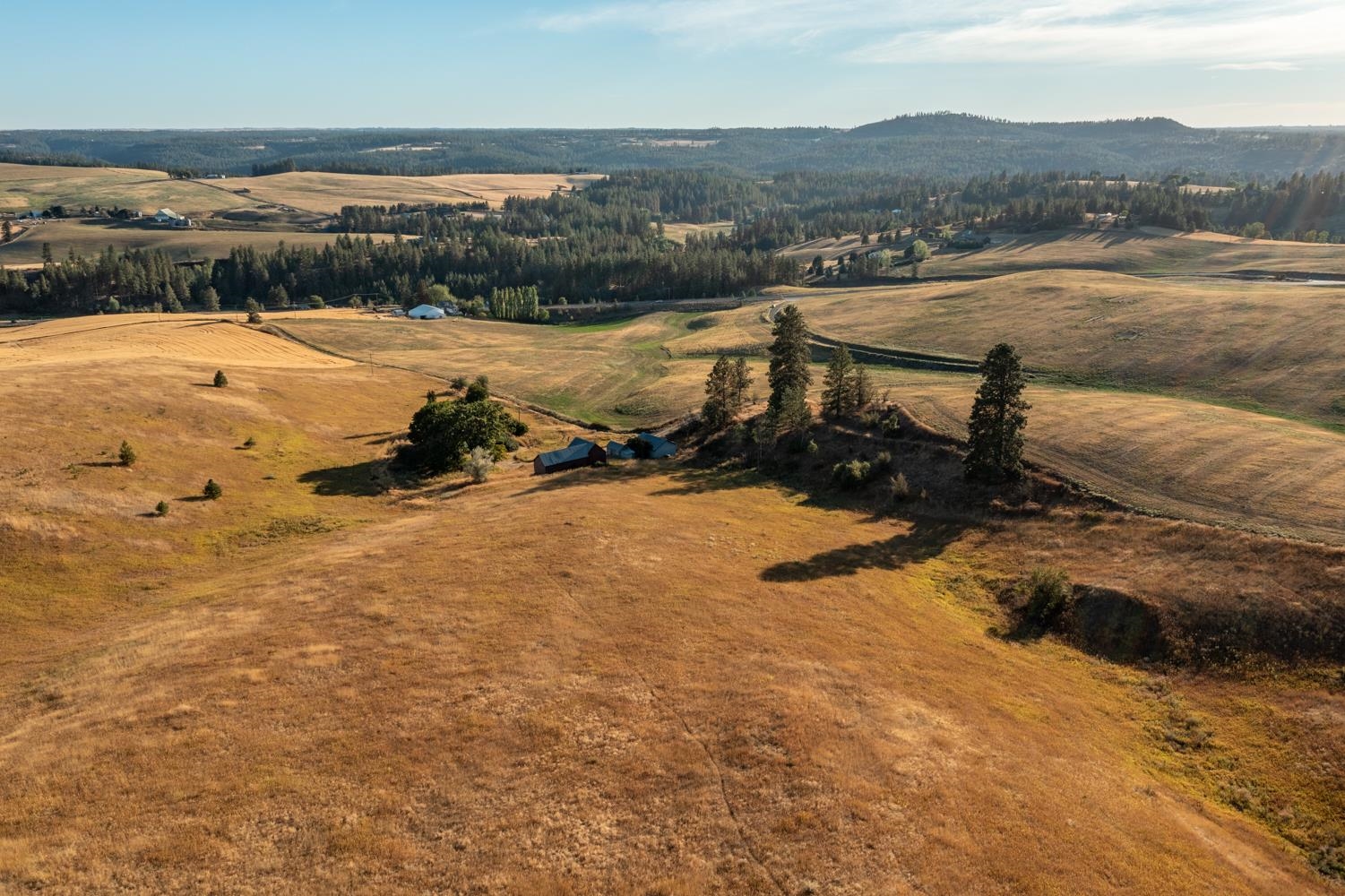 10900 South Silver Hill Road Spokane, WA 99223 - Photo 16 of 43