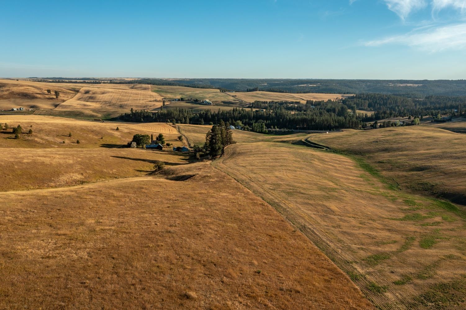 10900 South Silver Hill Road Spokane, WA 99223 - Photo 17 of 43