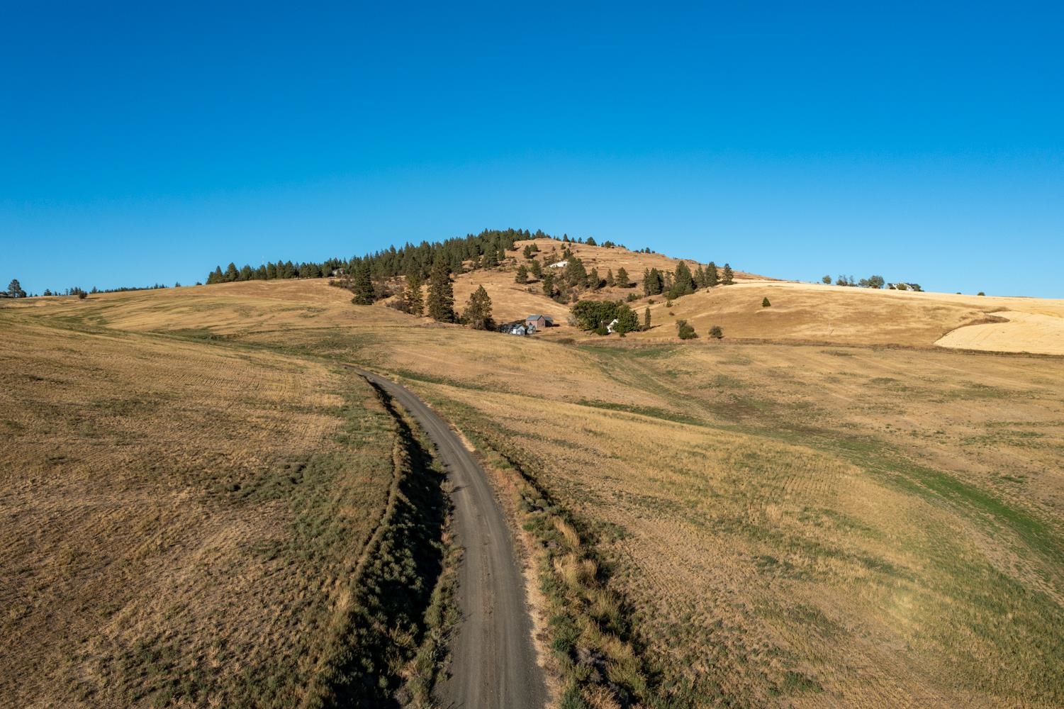 10900 South Silver Hill Road Spokane, WA 99223 - Photo 20 of 43