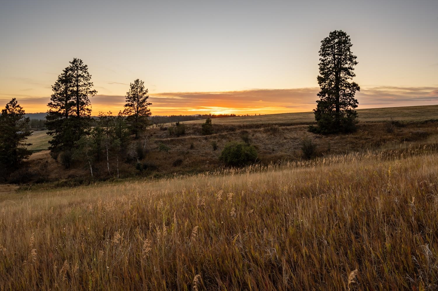 10900 South Silver Hill Road Spokane, WA 99223 - Photo 2 of 43