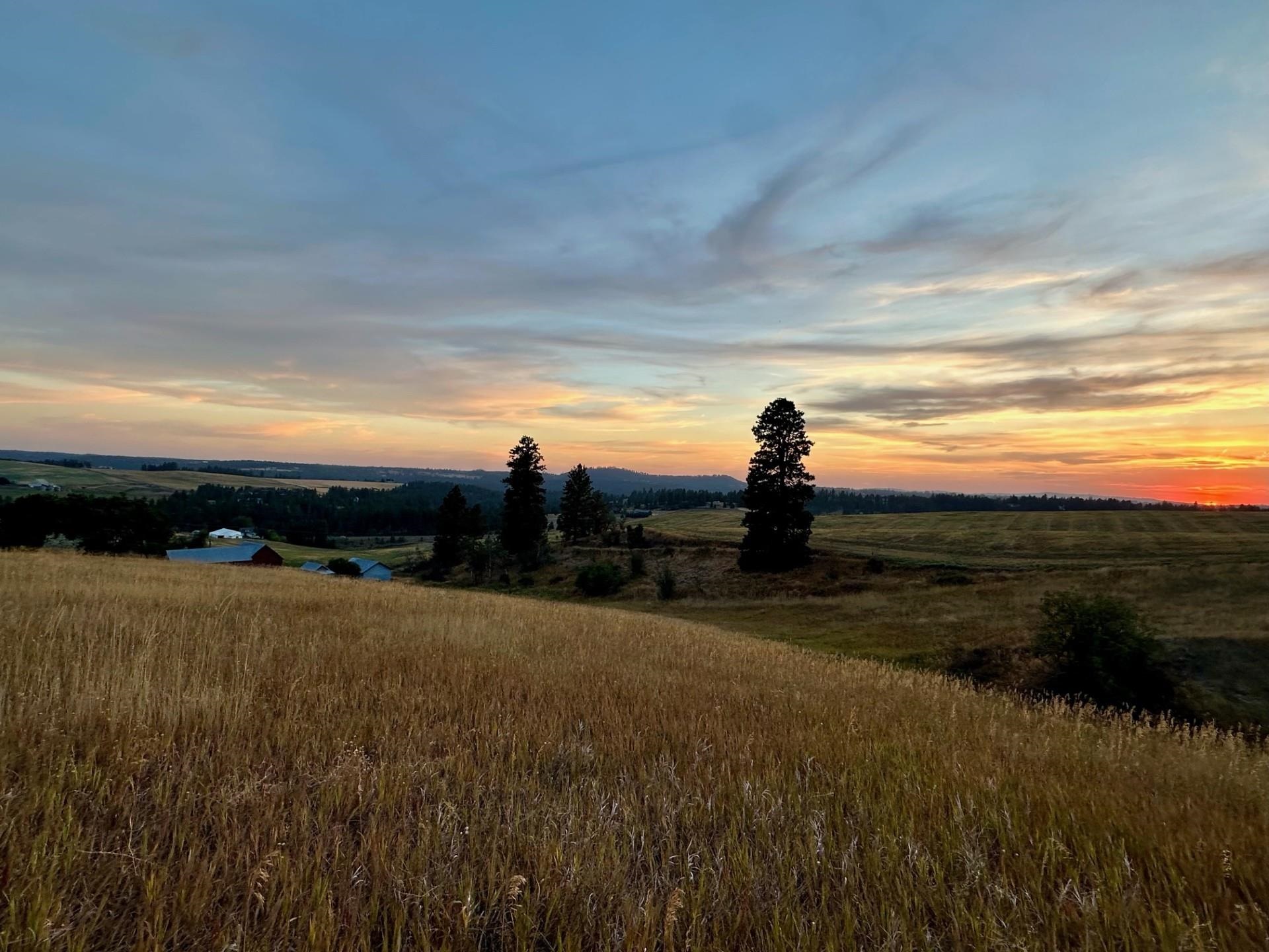 10900 South Silver Hill Road Spokane, WA 99223 - Photo 24 of 43