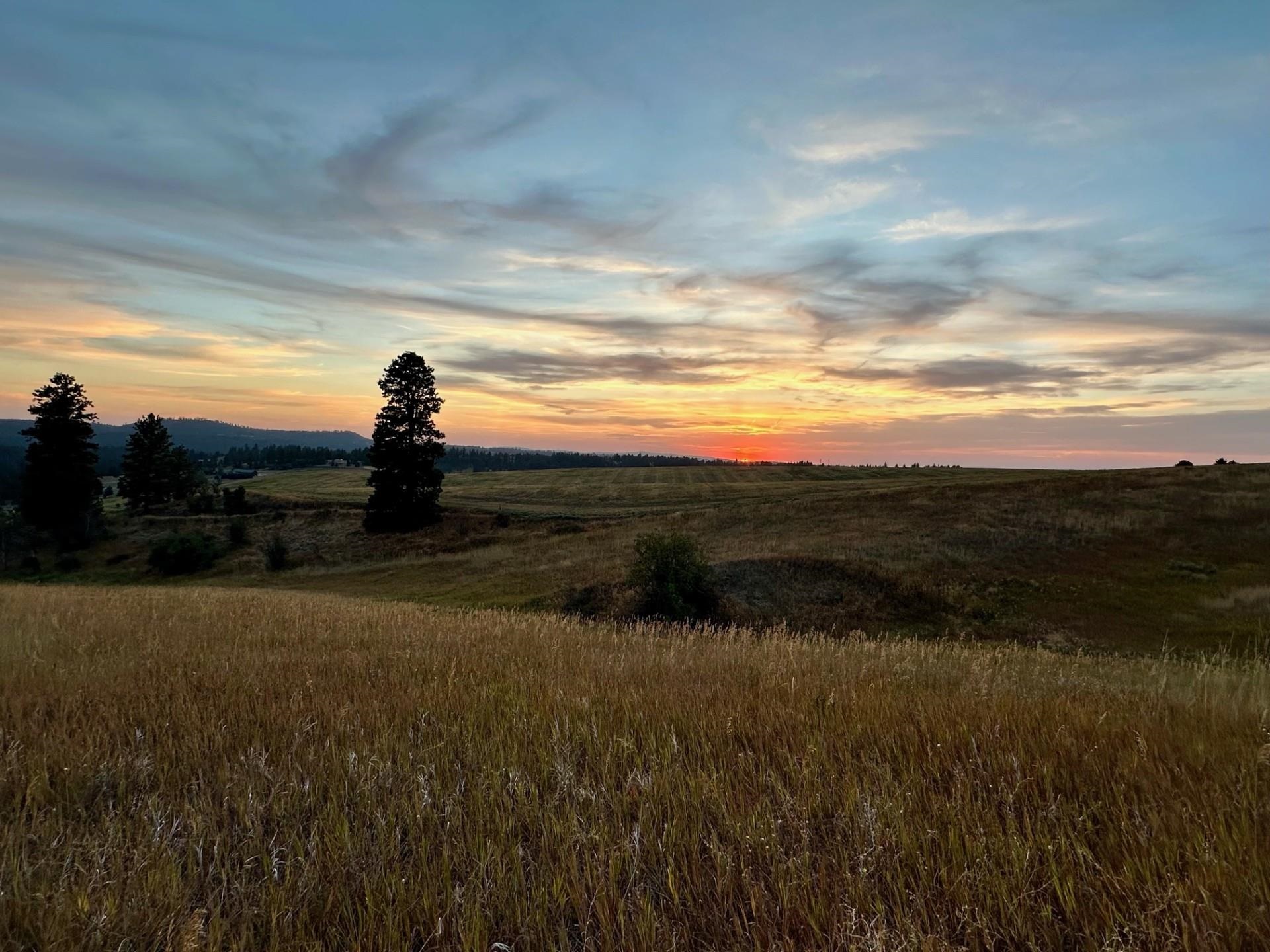10900 South Silver Hill Road Spokane, WA 99223 - Photo 25 of 43