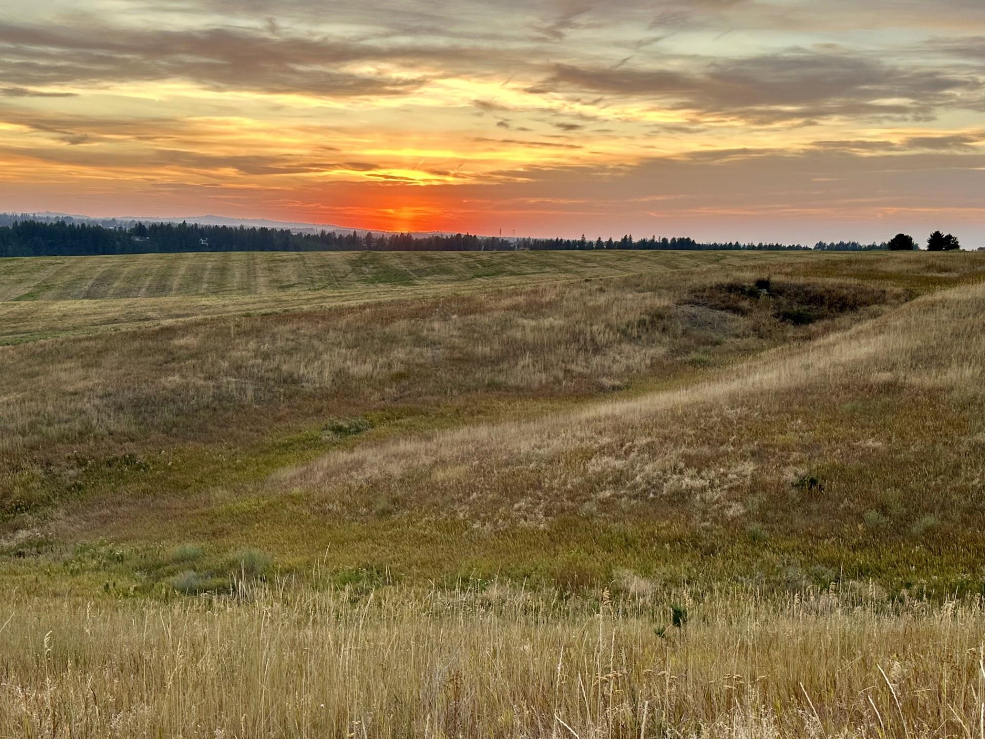 10900 South Silver Hill Road Spokane, WA 99223 - Photo 29 of 43