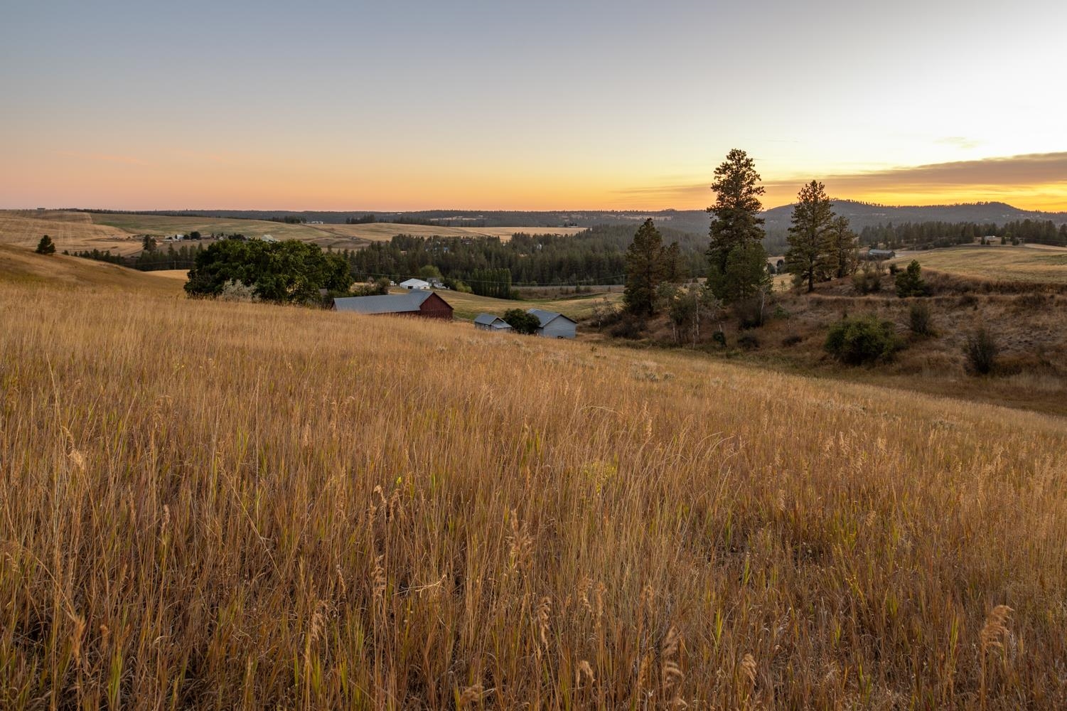10900 South Silver Hill Road Spokane, WA 99223 - Photo 3 of 43