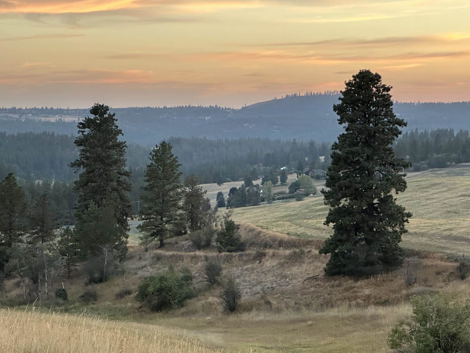 10900 South Silver Hill Road Spokane, WA 99223 - Photo 32 of 43