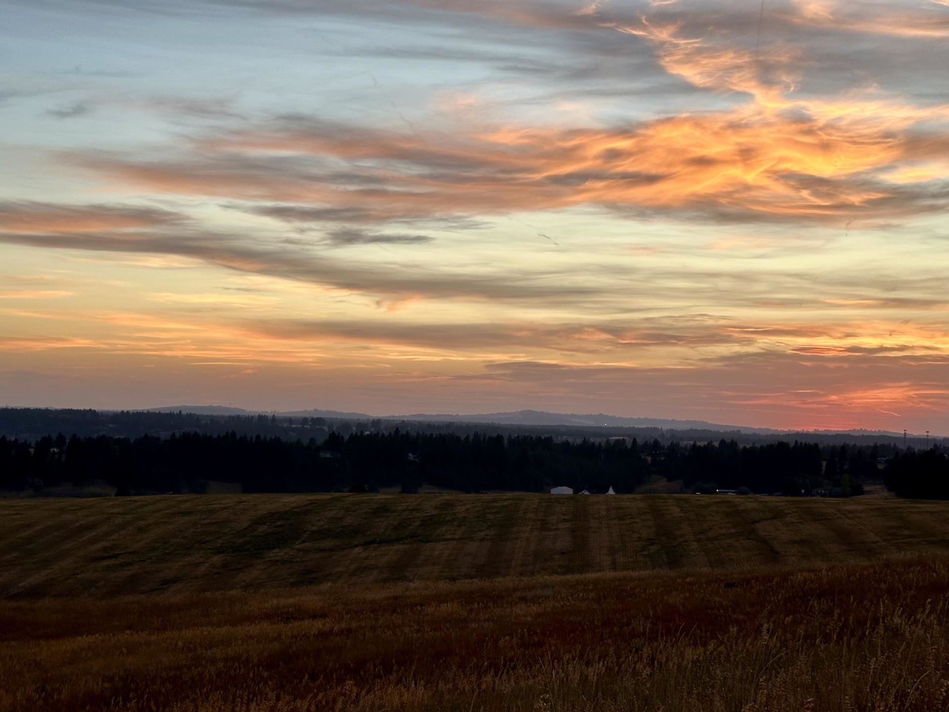 10900 South Silver Hill Road Spokane, WA 99223 - Photo 39 of 43