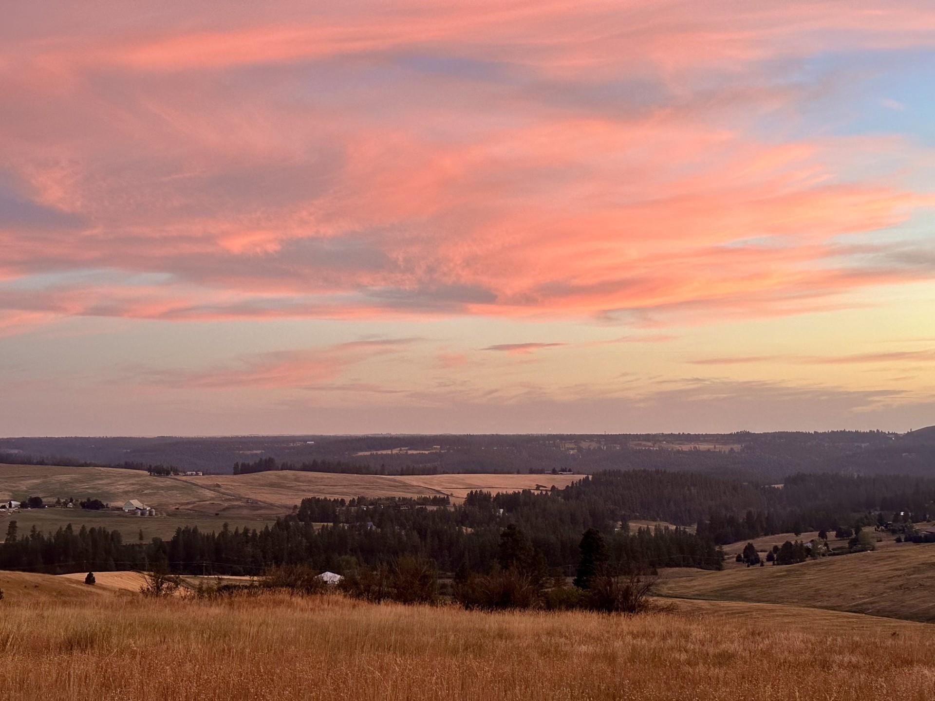 10900 South Silver Hill Road Spokane, WA 99223 - Photo 40 of 43