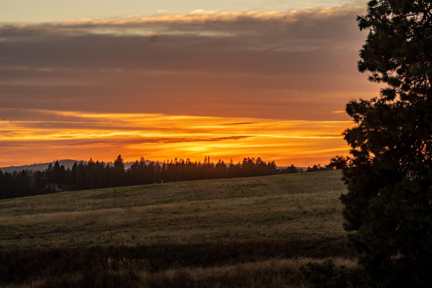 10900 South Silver Hill Road Spokane, WA 99223 - Photo 4 of 43