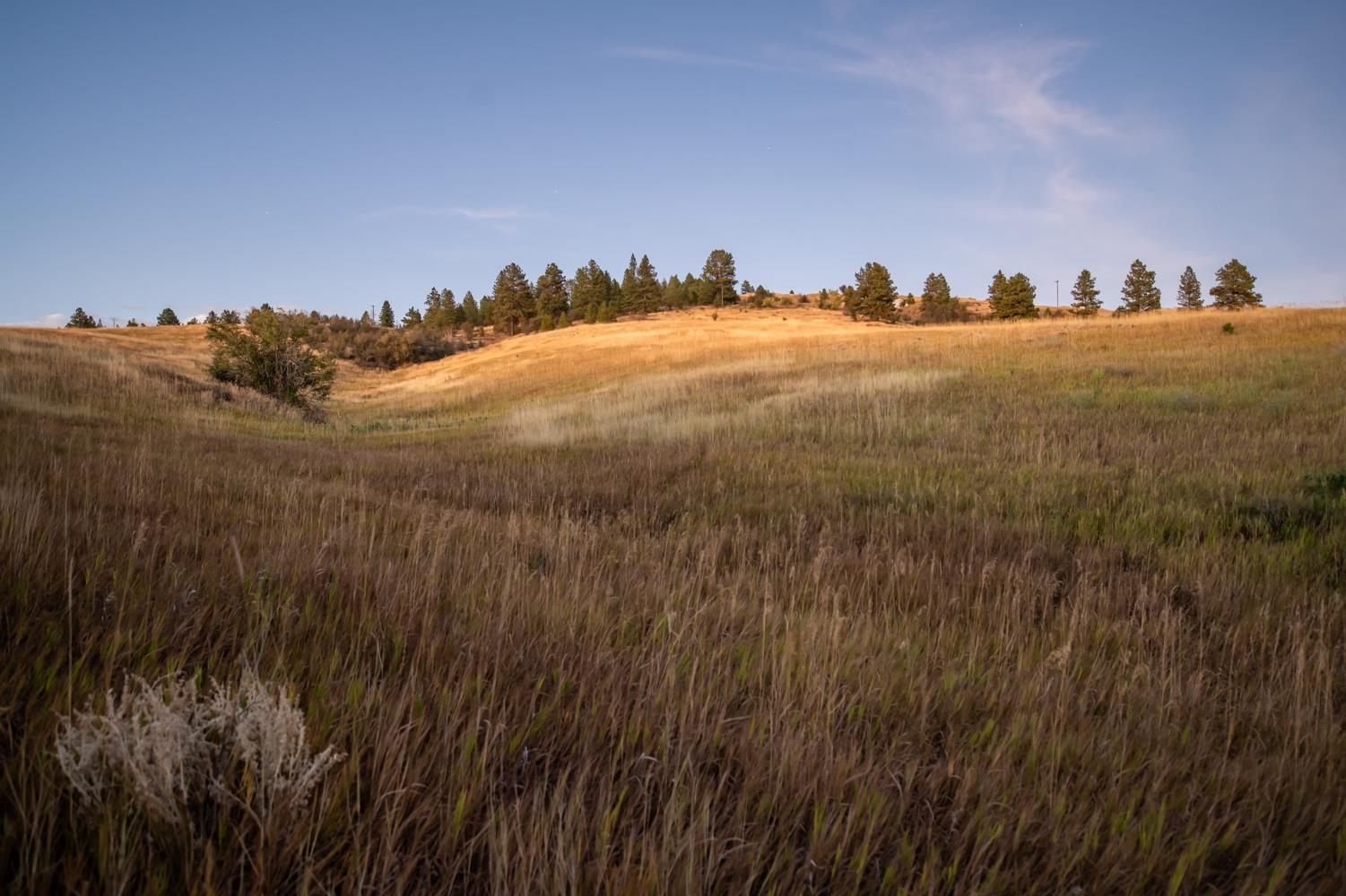 10900 South Silver Hill Road Spokane, WA 99223 - Photo 43 of 43