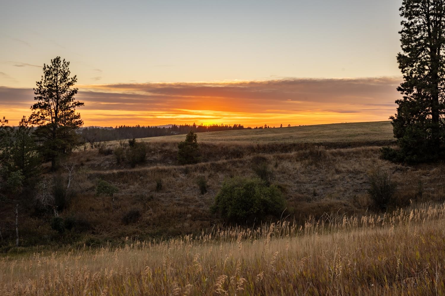 10900 South Silver Hill Road Spokane, WA 99223 - Photo 5 of 43