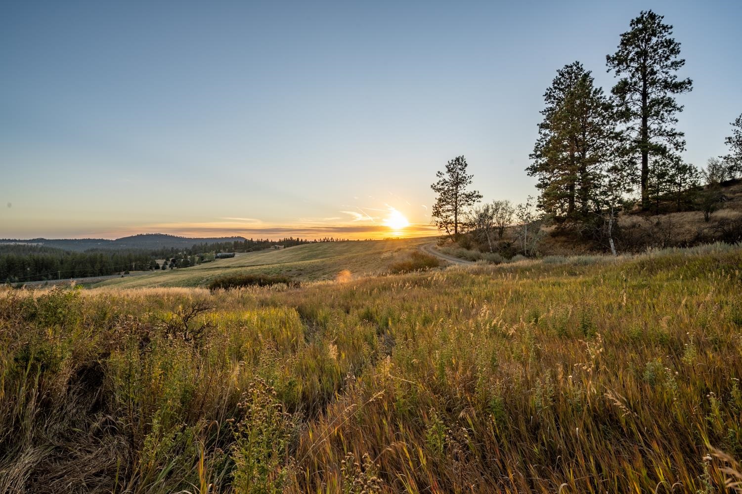 10900 South Silver Hill Road Spokane, WA 99223 - Photo 6 of 43