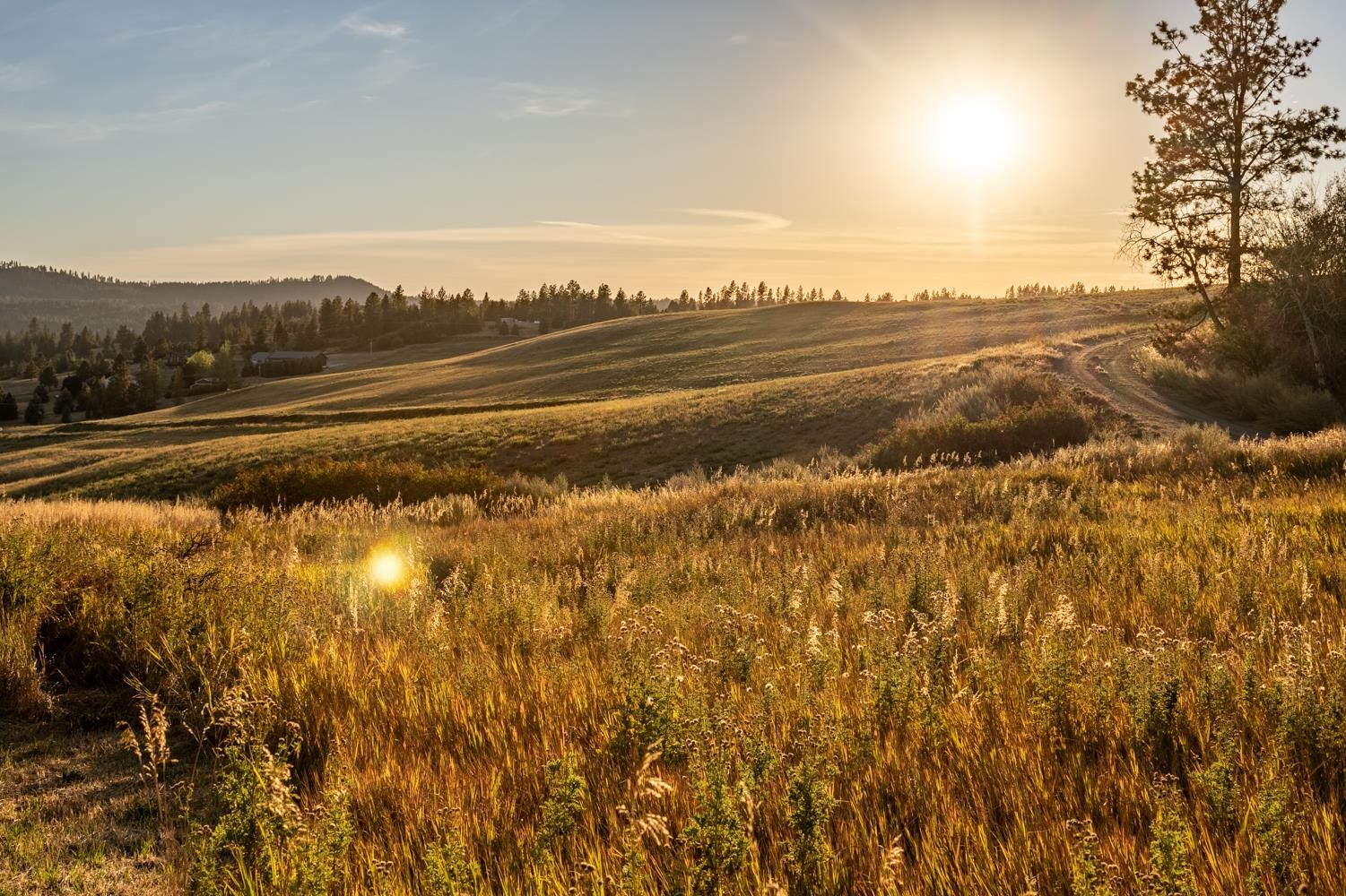 10900 South Silver Hill Road Spokane, WA 99223 - Photo 7 of 43