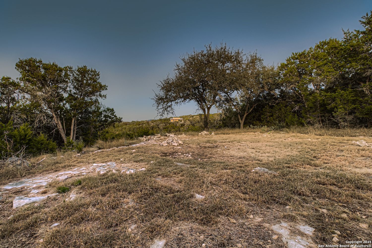 3963 Summit Hurst New Braunfels, TX 78132 - Photo 25 of 28 a view of a yard with trees