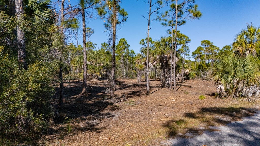 1944 Reed Court West St. George Island, FL 32328 - Photo 11 of 11 Gallery Image 11