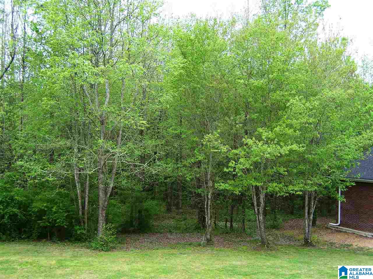 16 Daileys Chapel Road Oneonta, AL 35121 - Photo 49 of 50