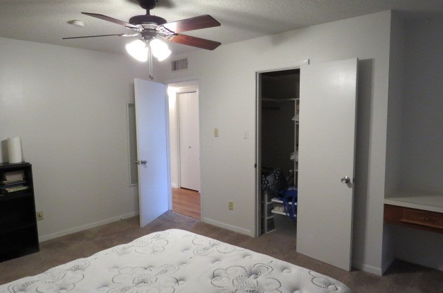 1917 20th Street, Unit 3 Huntsville, TX 77340 - Photo 16 of 18 a view of a big room with closet and a chandelier fan
