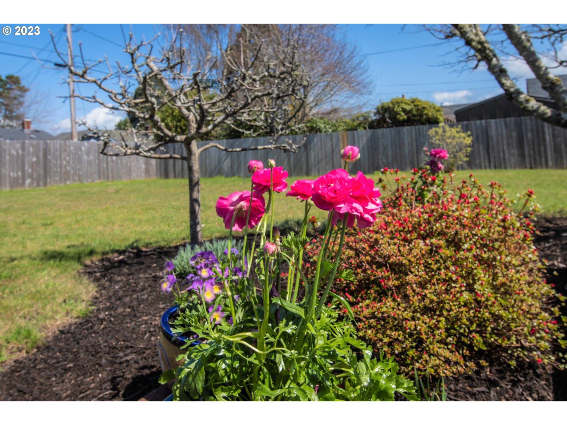 2035 16th Street Florence, OR 97439 - Photo 22 of 30 a view of a flower