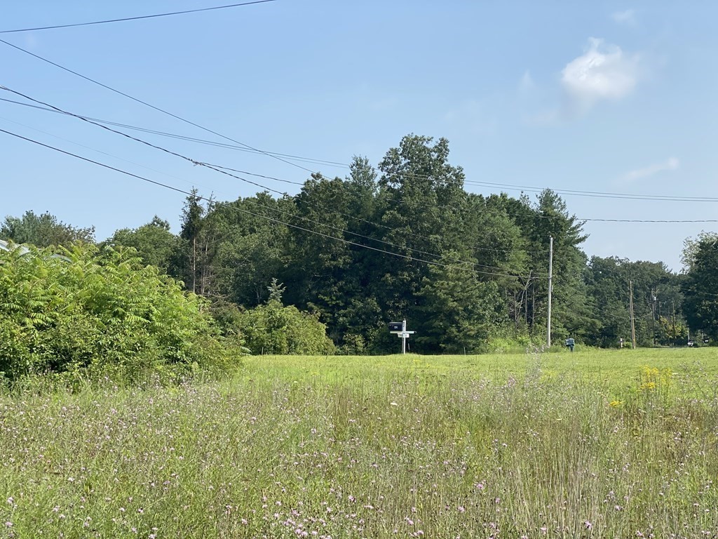 43 Pequot Road Southampton, MA 01073 - Photo 2 of 4 a view of a field of grass and trees