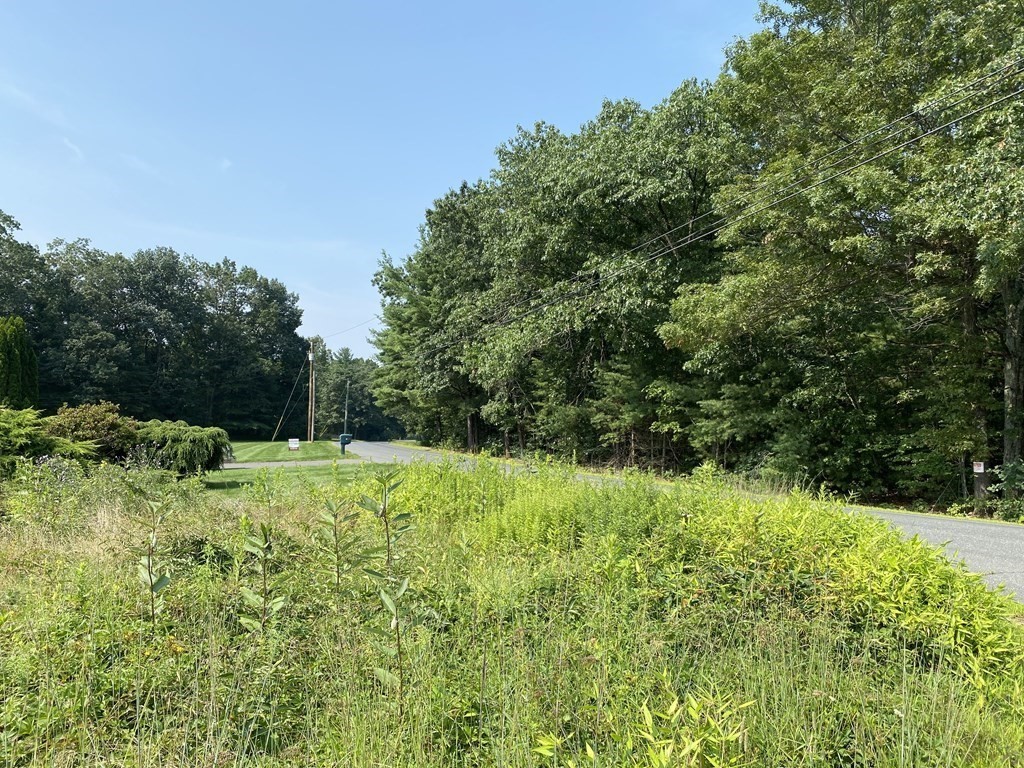 43 Pequot Road Southampton, MA 01073 - Photo 3 of 4 a view of outdoor space and yard
