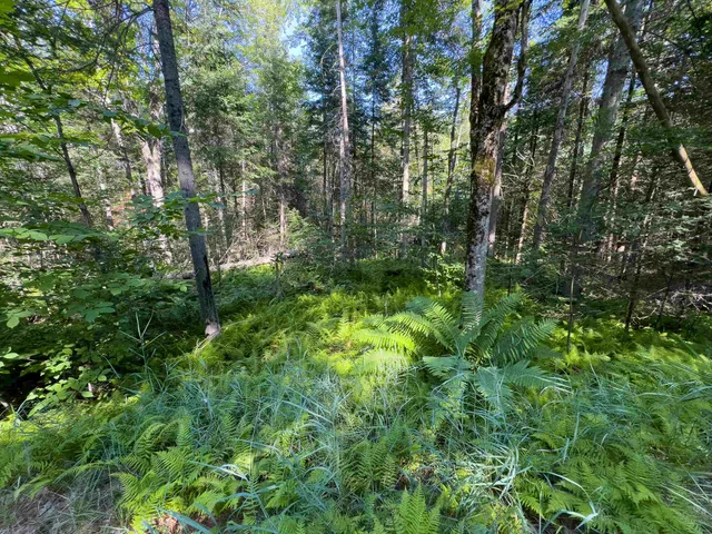 $74,900 | 0 Brushwood Road, Unit 105, Pike, NH 03780