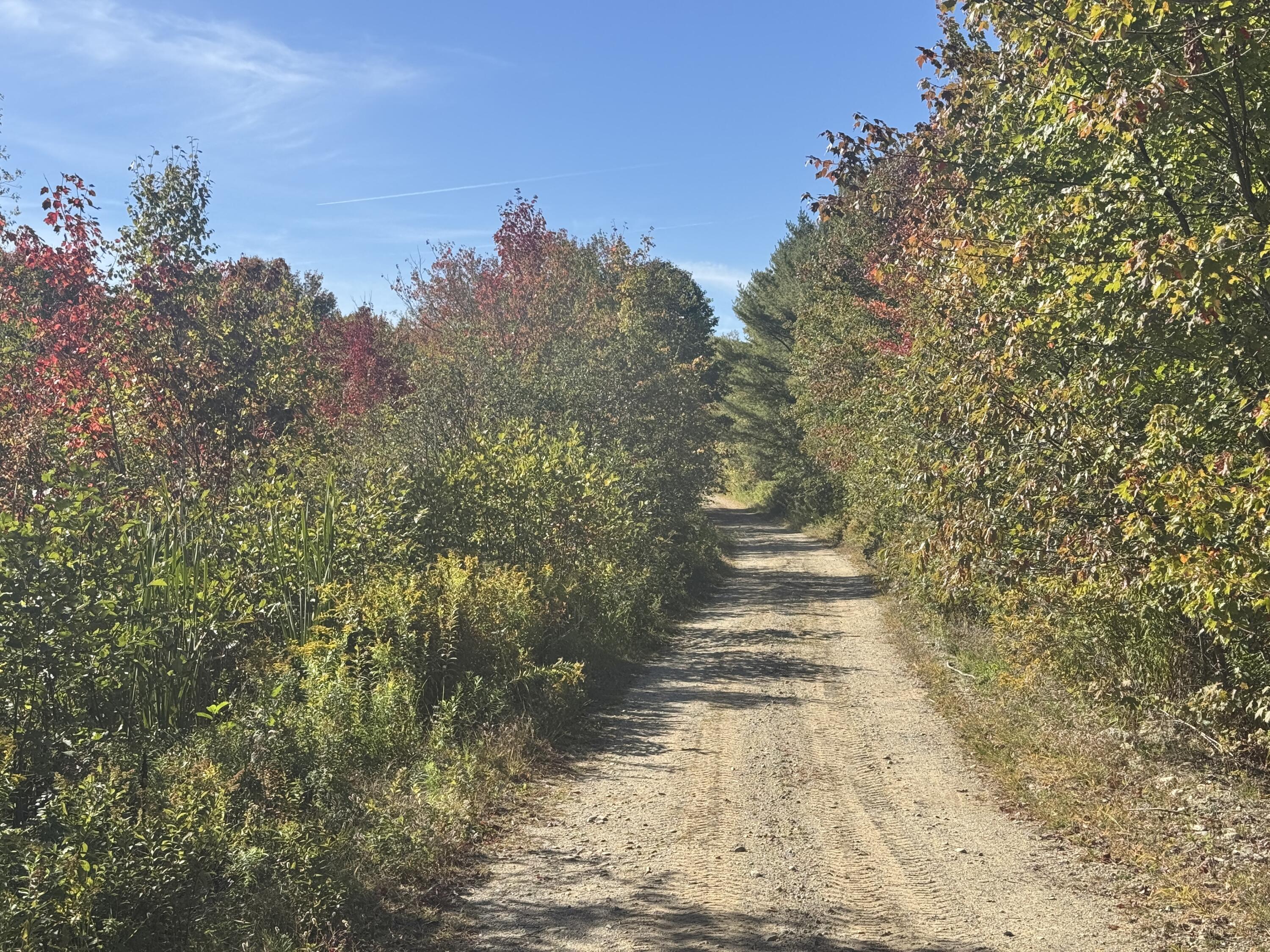Lot 19-1 Green Valley Road Stockton Springs, ME 04981 - Photo 1 of 10 20250922_184241666_iOS