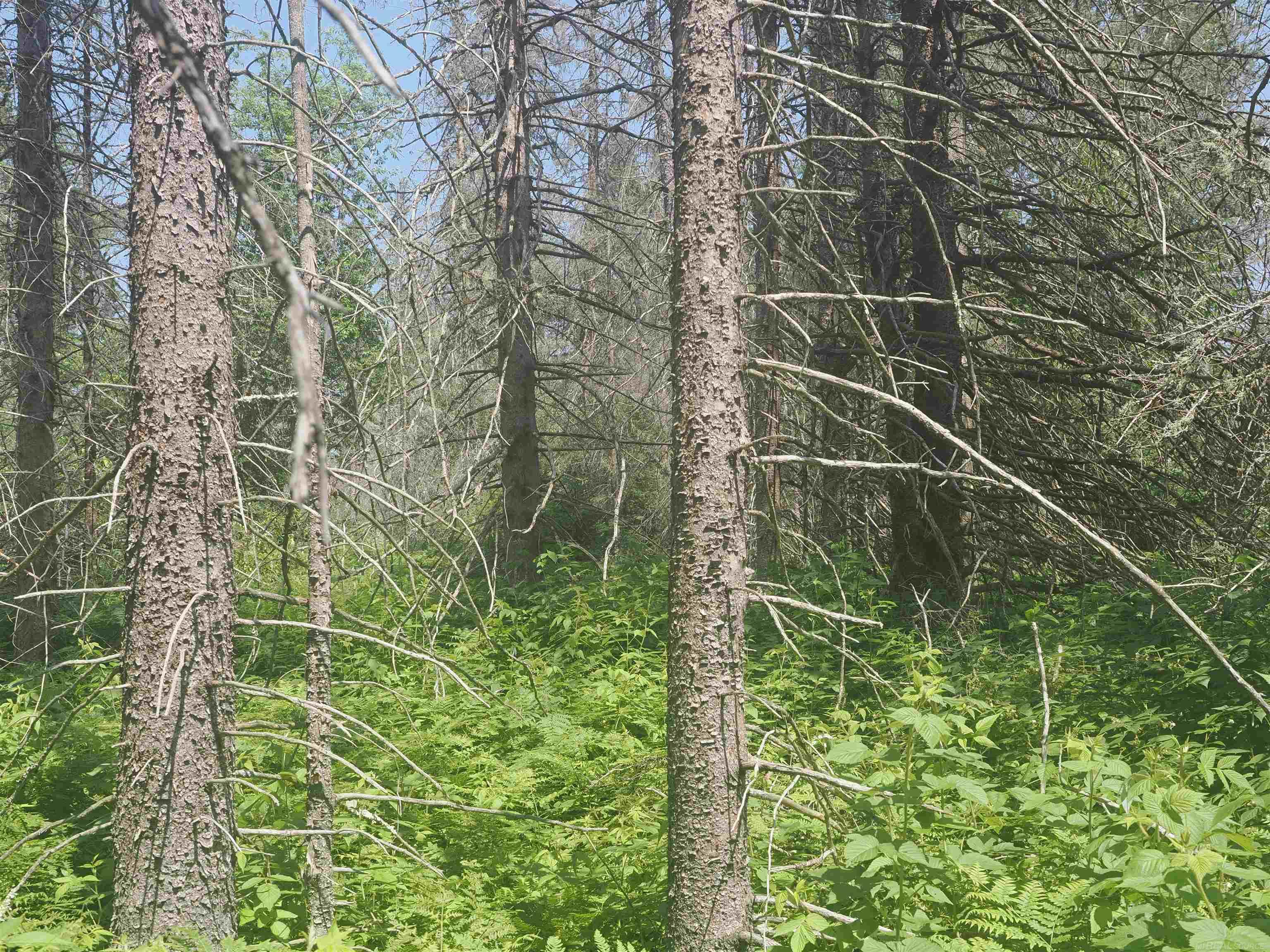 0 County Road Ishpeming, MI 49849 - Photo 76 of 85