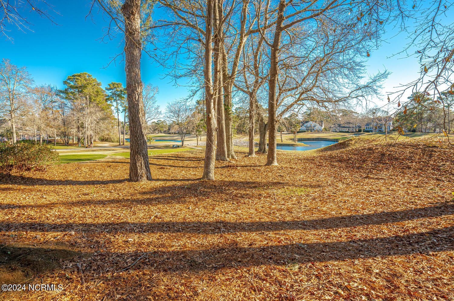 170 Clubhouse Road, Unit 2 Sunset Beach, NC 28468 - Photo 40 of 52 Golf Course View