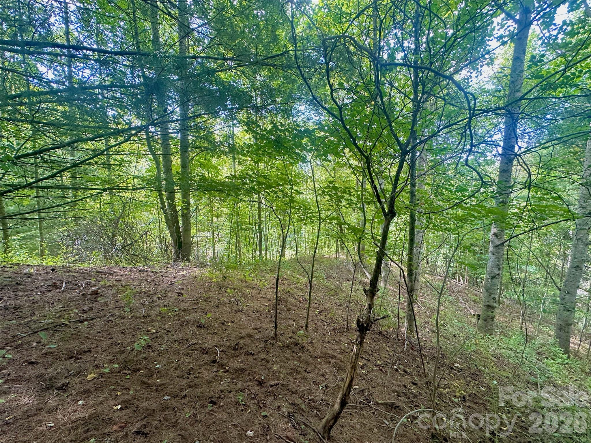 Tbd Old Anderson Quarry Road Vilas, NC 28692 - Photo 16 of 21