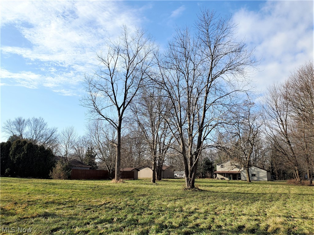 4033 Wood Road Madison, OH 44057 - Photo 6 of 31
