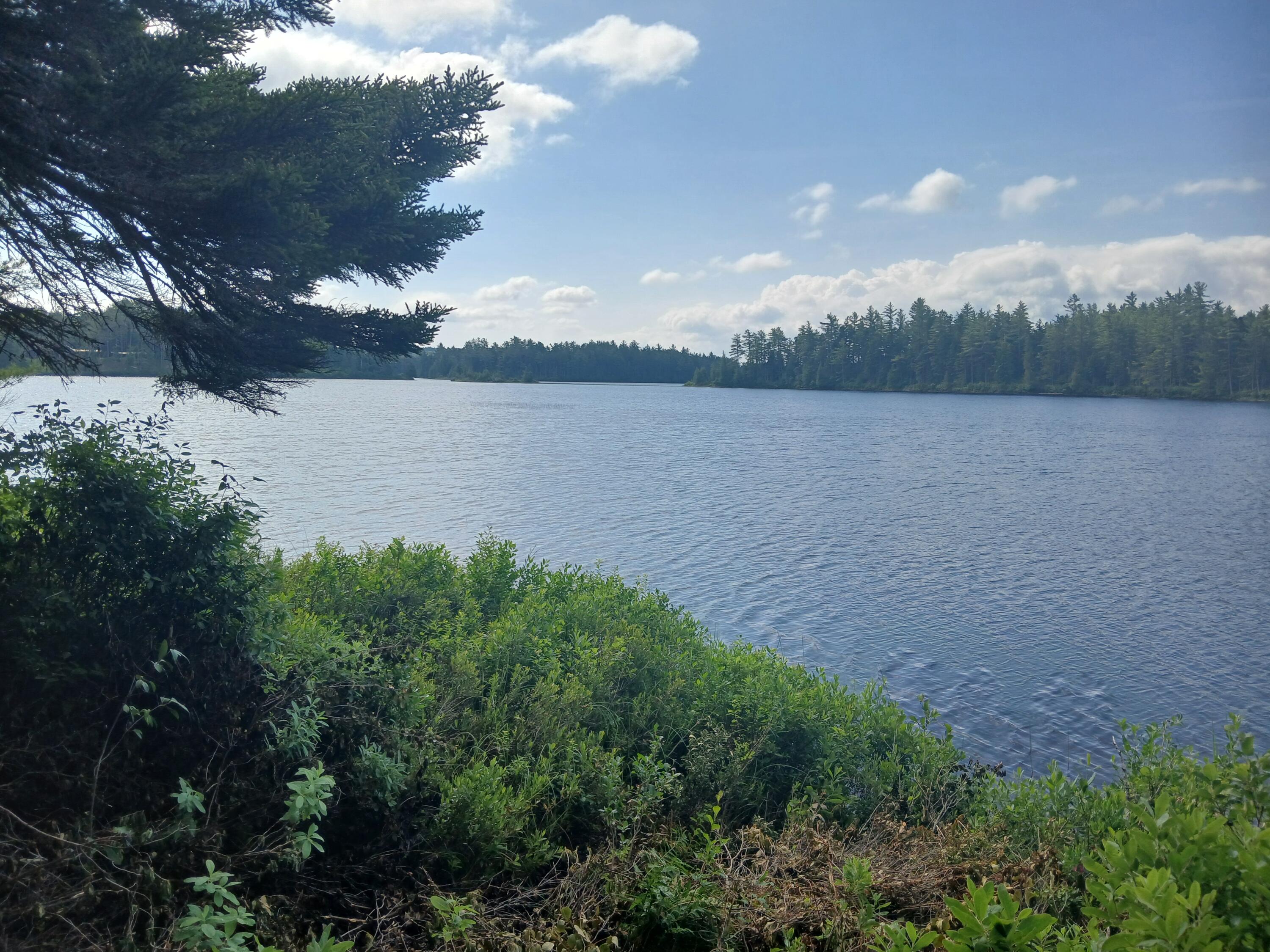 Lot # Lot#16.1 Middle Road Bingham, ME 04920 - Photo 1 of 6 Water frontage