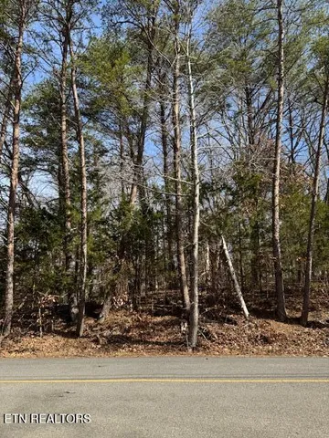 $15,875 | Lot 1191 Tree Line Lane, Baneberry, TN 37890