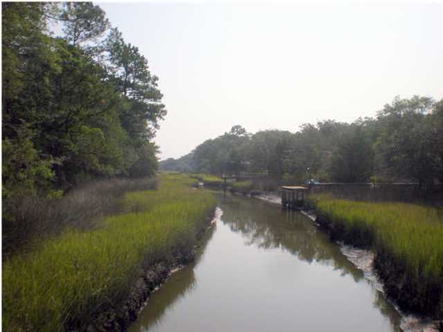 0 Exchange Landing Road Johns Island, SC 29455 - Photo 1 of 1 Primary Photo
