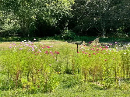 $495,000 | 1044 Old Falmouth Road, Centerville, MA 02632