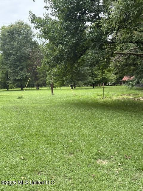 2914 Highway 7 Holcomb, MS 38940 - Photo 28 of 30 View of land on South of House