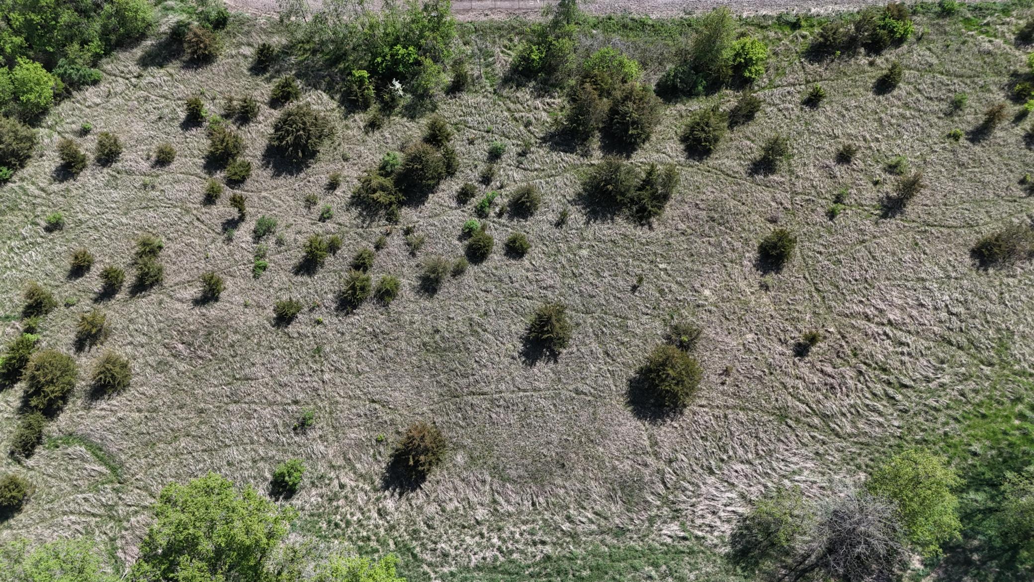 56060 375th Avenue Rochester, MN 55906 - Photo 21 of 29