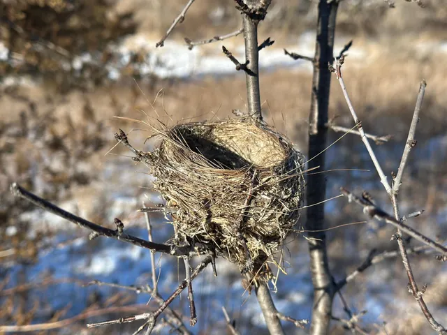 $405,000 | 56060 375th Avenue, Rochester, MN 55906