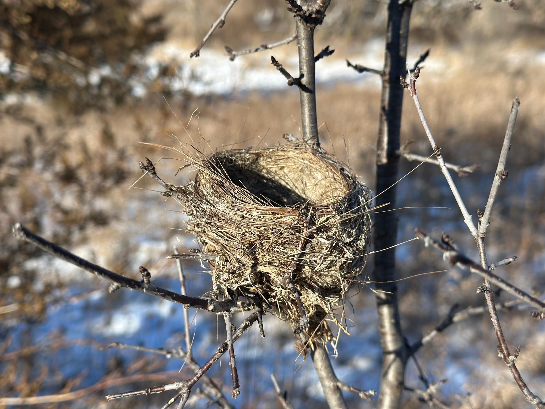 56060 375th Avenue Rochester, MN 55906 - Photo 27 of 29