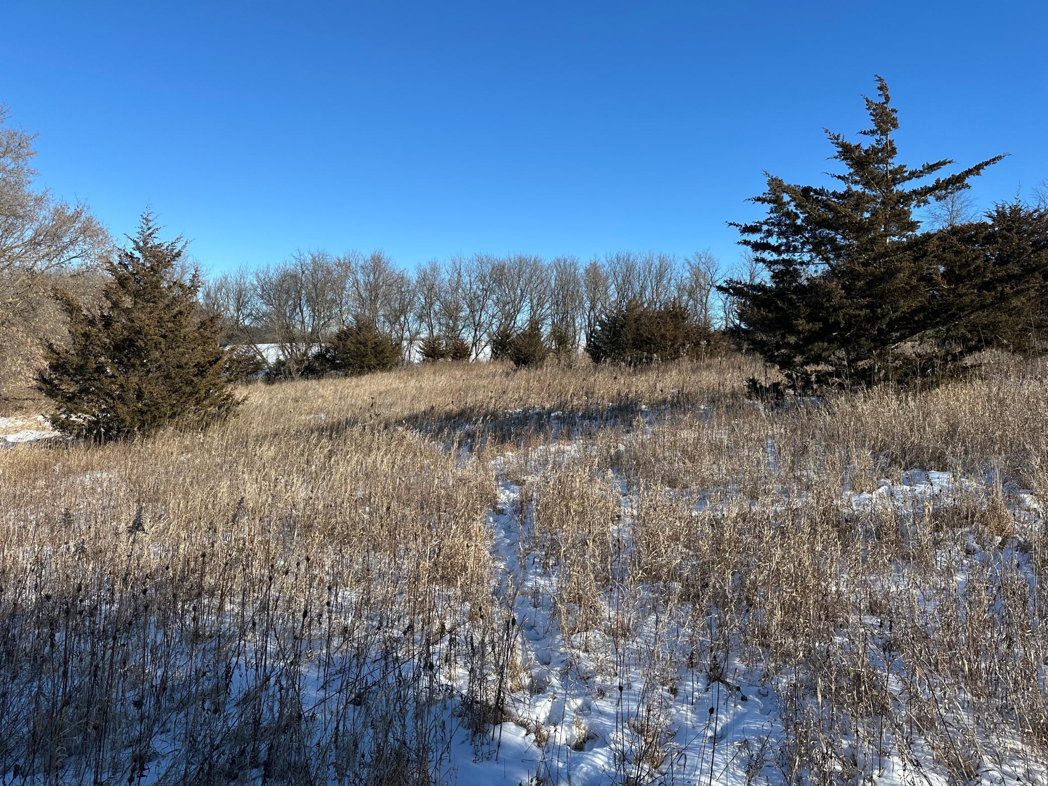 56060 375th Avenue Rochester, MN 55906 - Photo 28 of 29