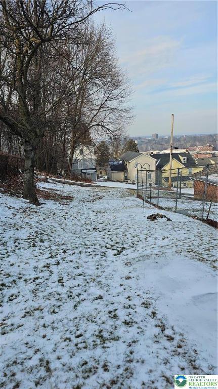 415 Stoneman Street Bethlehem, PA 18015 - Photo 40 of 45 a view of a dry yard with trees