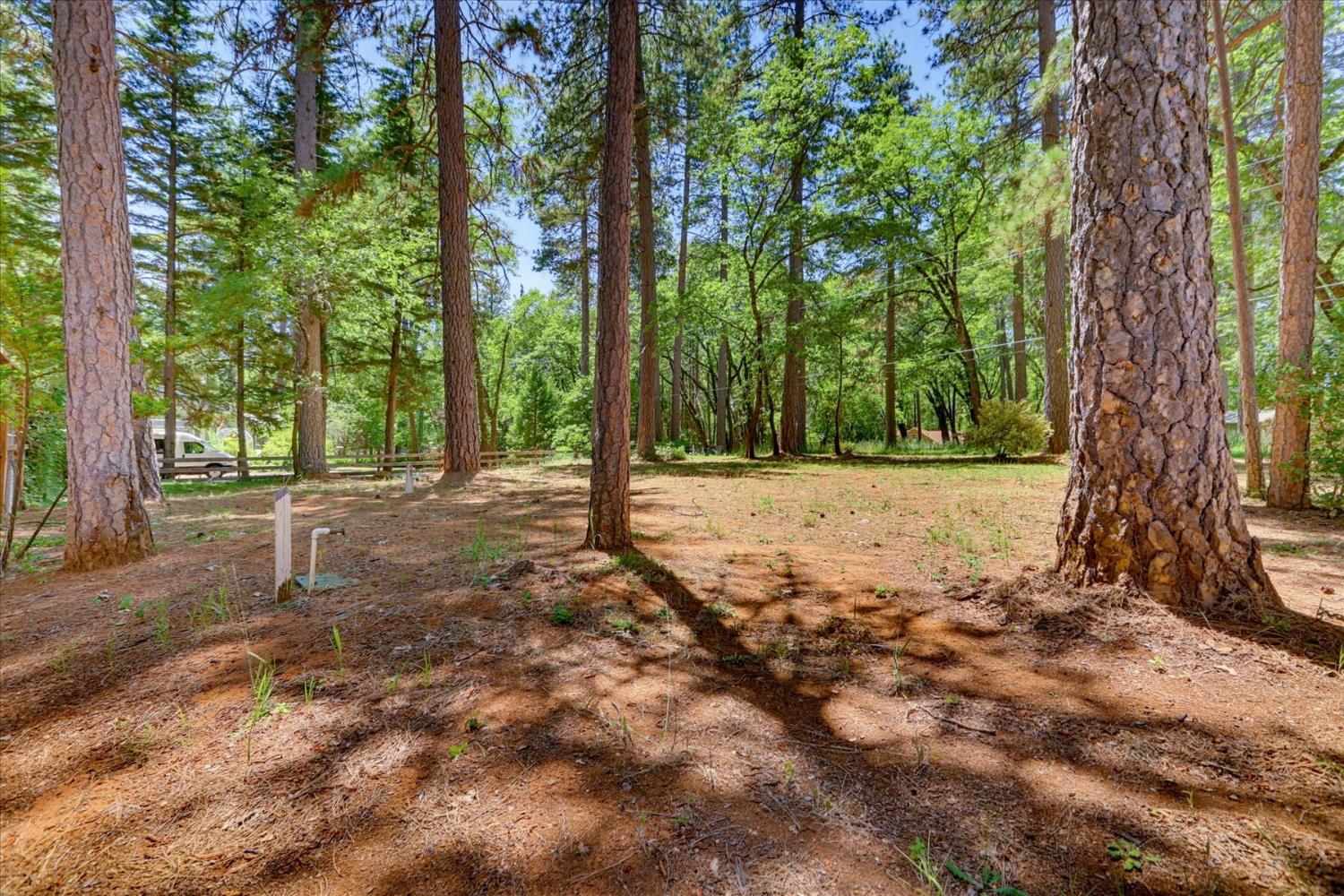 11575 Shockley Road Grass Valley, CA 95945 - Photo 73 of 92
