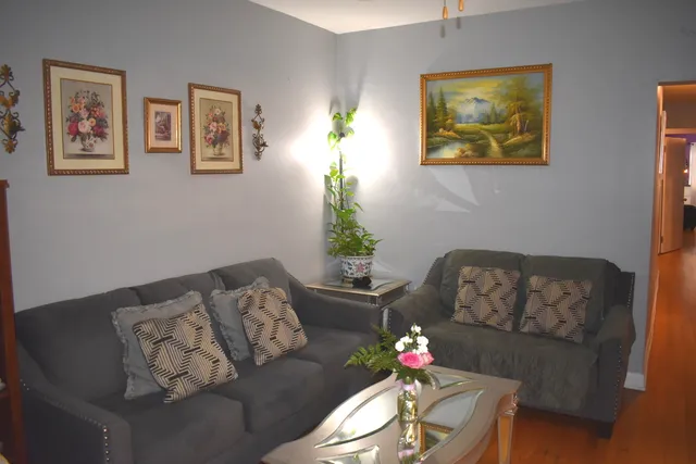 a living room with furniture flowerpot and a potted plant