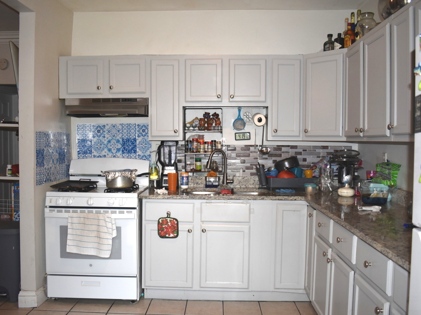 1749 West North Shore Avenue Chicago, IL 60626 - Photo 3 of 29