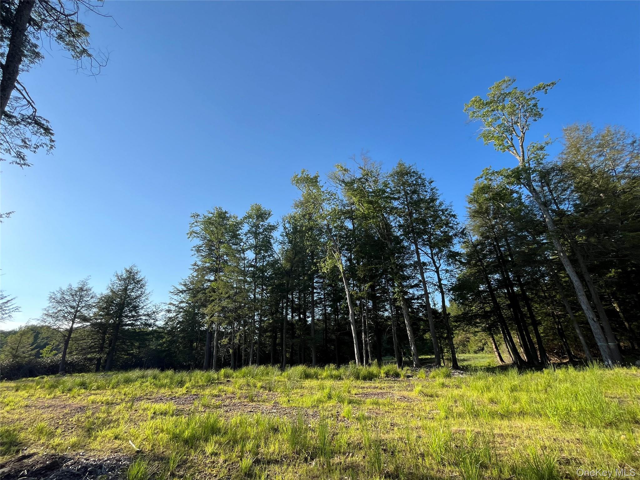 47 Eagles Ridge Way Parksville, NY 12768 - Photo 14 of 19
