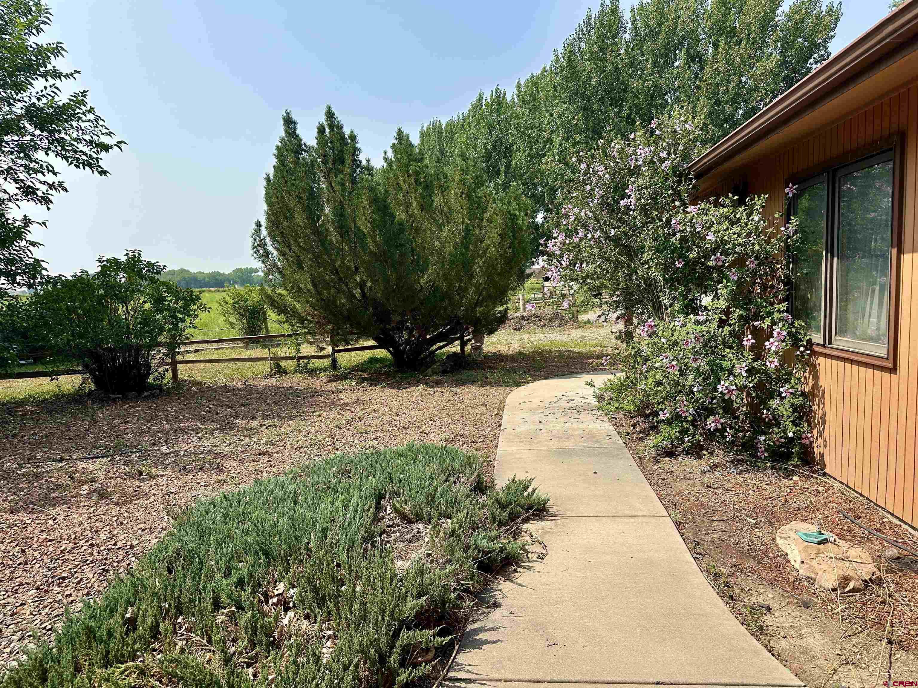 14581 Deer Run Road Delta, CO 81416 - Photo 4 of 35 a view of park with large tree