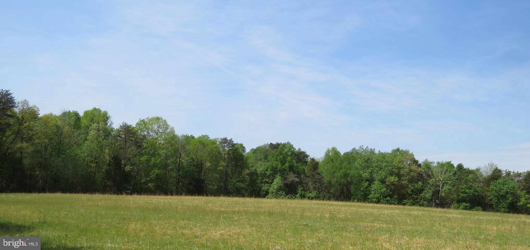 29408 Mine Run Road Unionville, VA 22567 - Photo 2 of 16 back field when it is cut