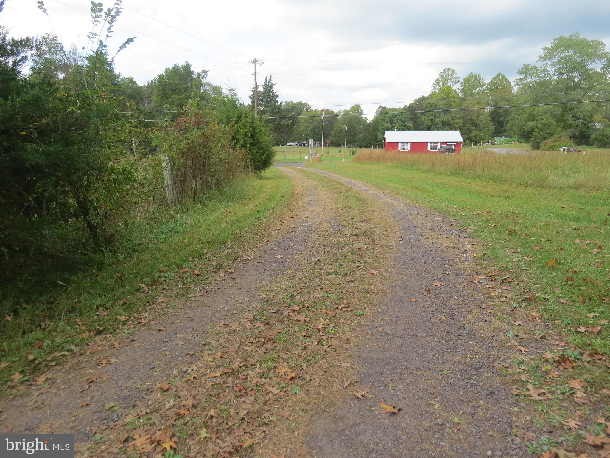 29408 Mine Run Road Unionville, VA 22567 - Photo 11 of 16 Driveway looking from old home place
