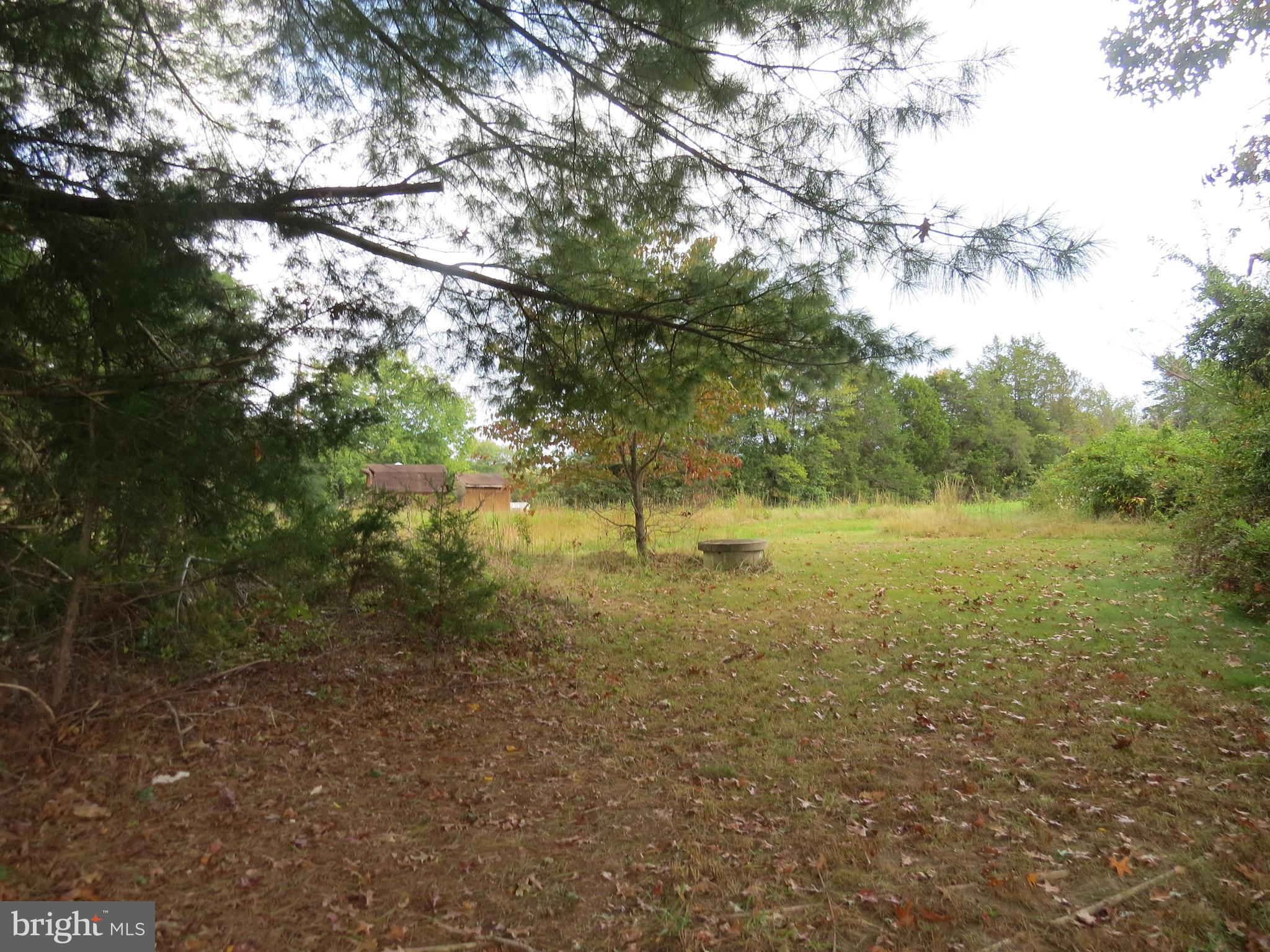 29408 Mine Run Road Unionville, VA 22567 - Photo 12 of 16 Side yard has well