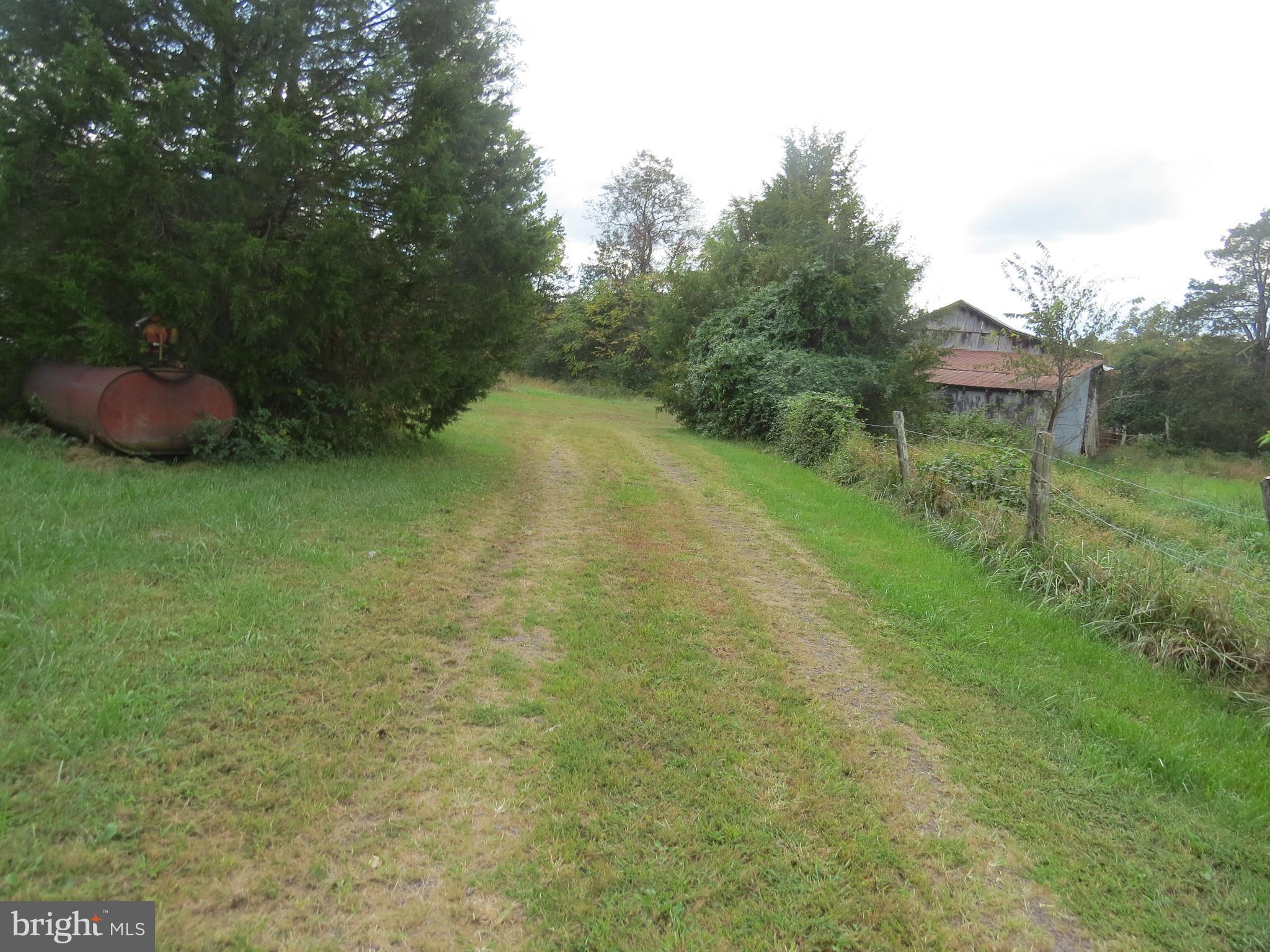 29408 Mine Run Road Unionville, VA 22567 - Photo 13 of 16 Driveway continues to barn area